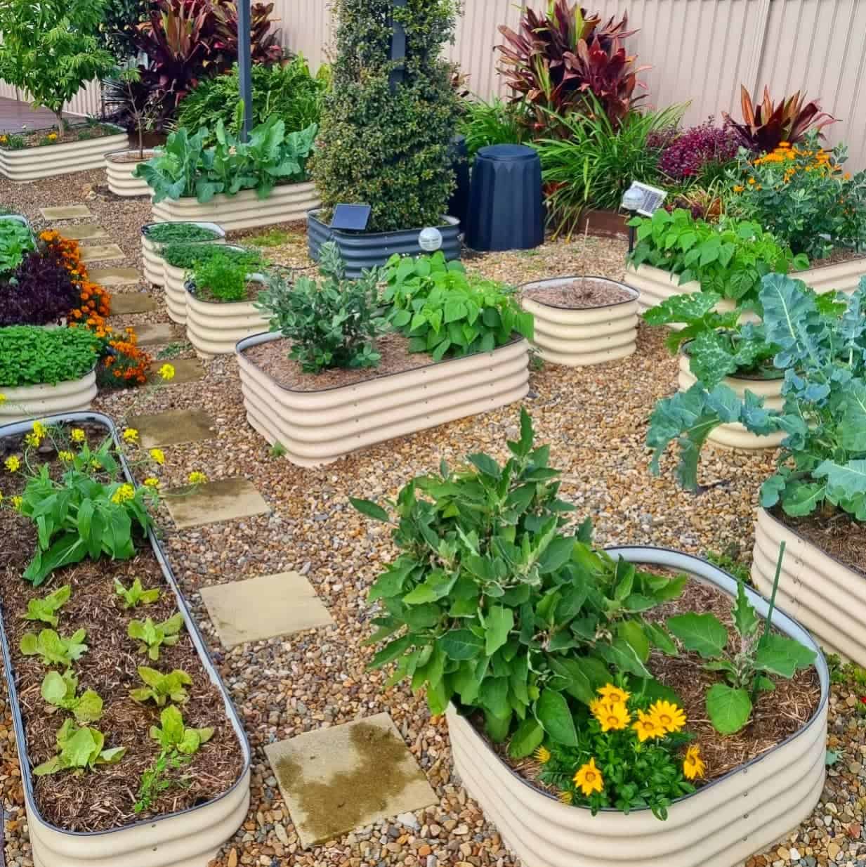 galvanized raised garden beds