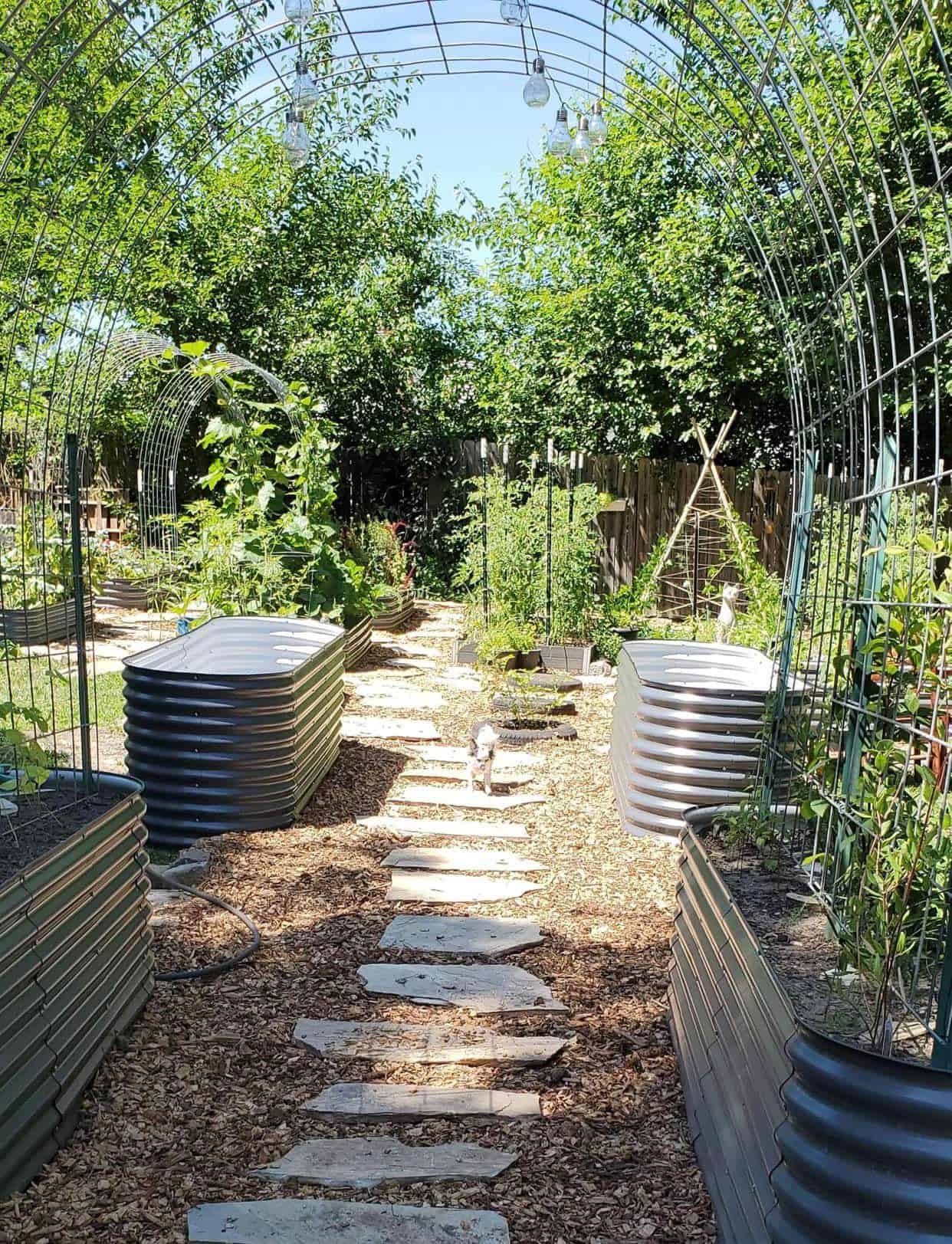 empty galvanized-raised garden beds