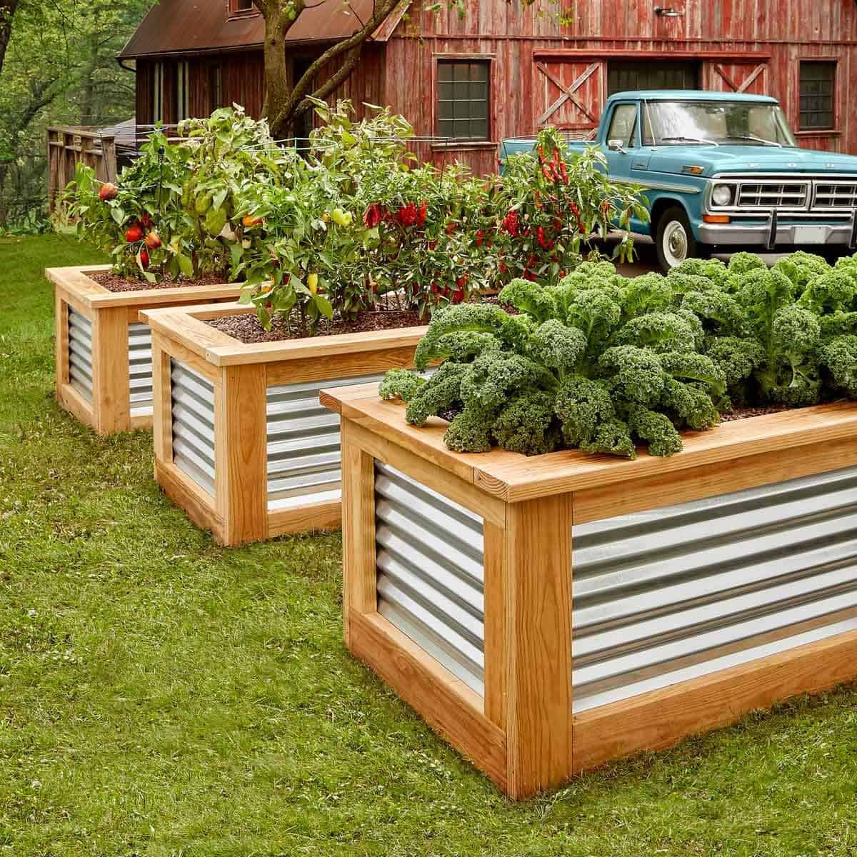 raised beds garden