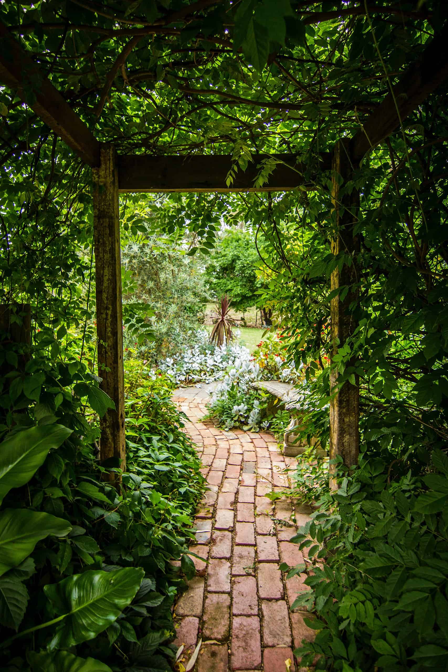 green lush garden