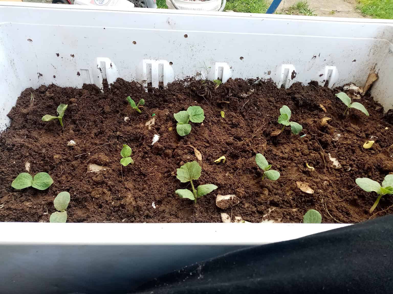 15 Oddly Creative Raised Garden Beds Ideas - The Ultimate Homestead