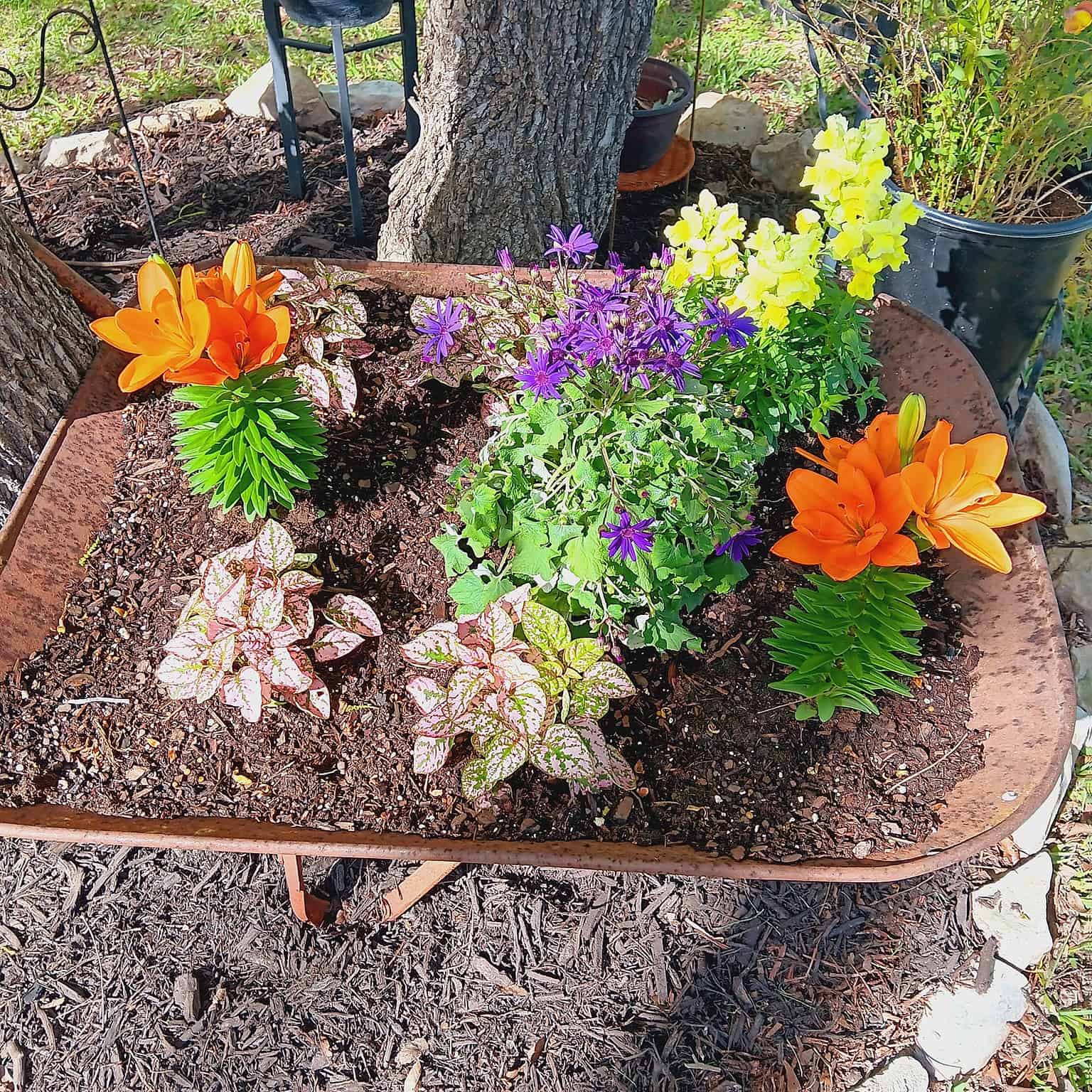 15 Oddly Creative Raised Garden Beds Ideas - The Ultimate Homestead