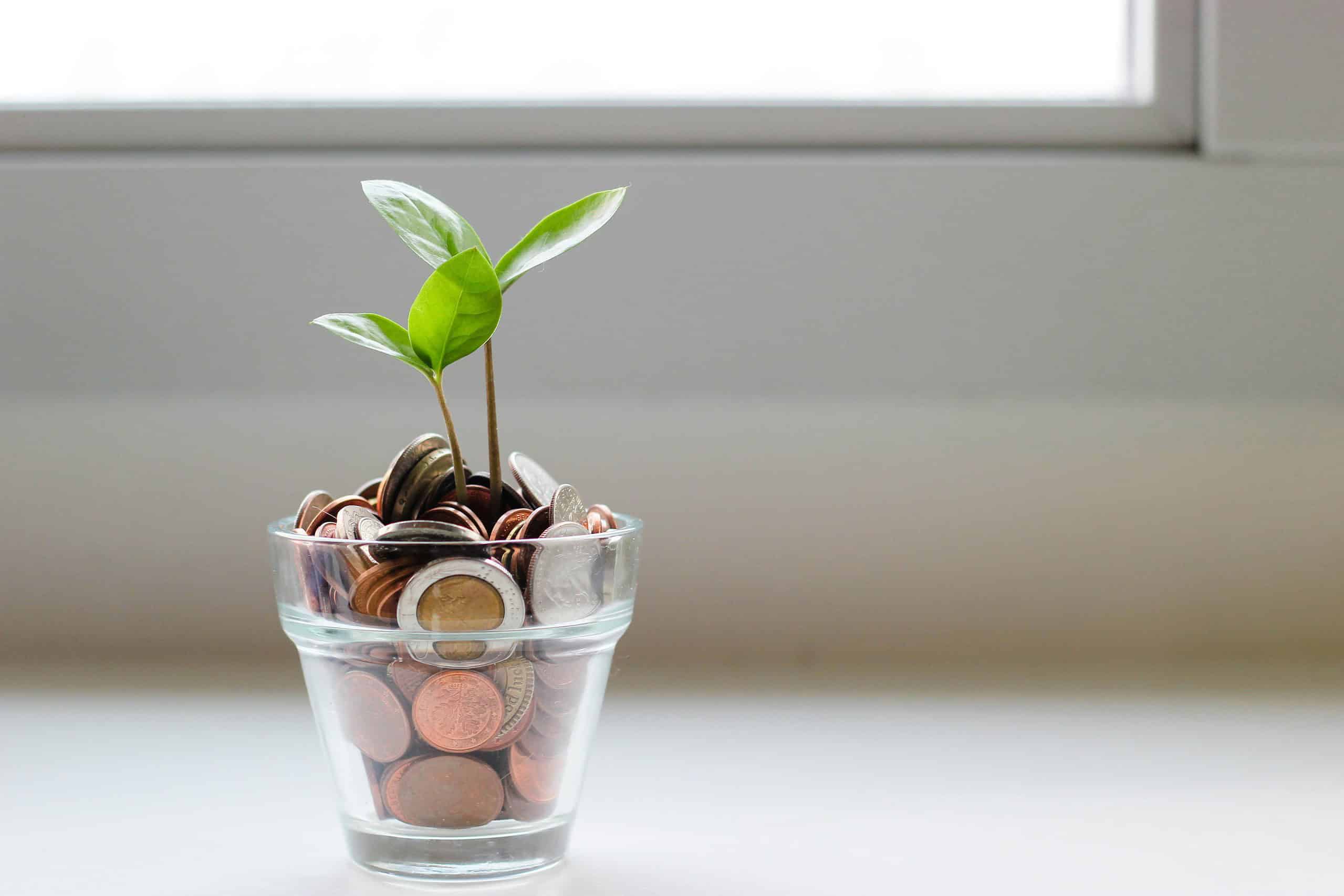 a small plant in a transparent container filled with coins