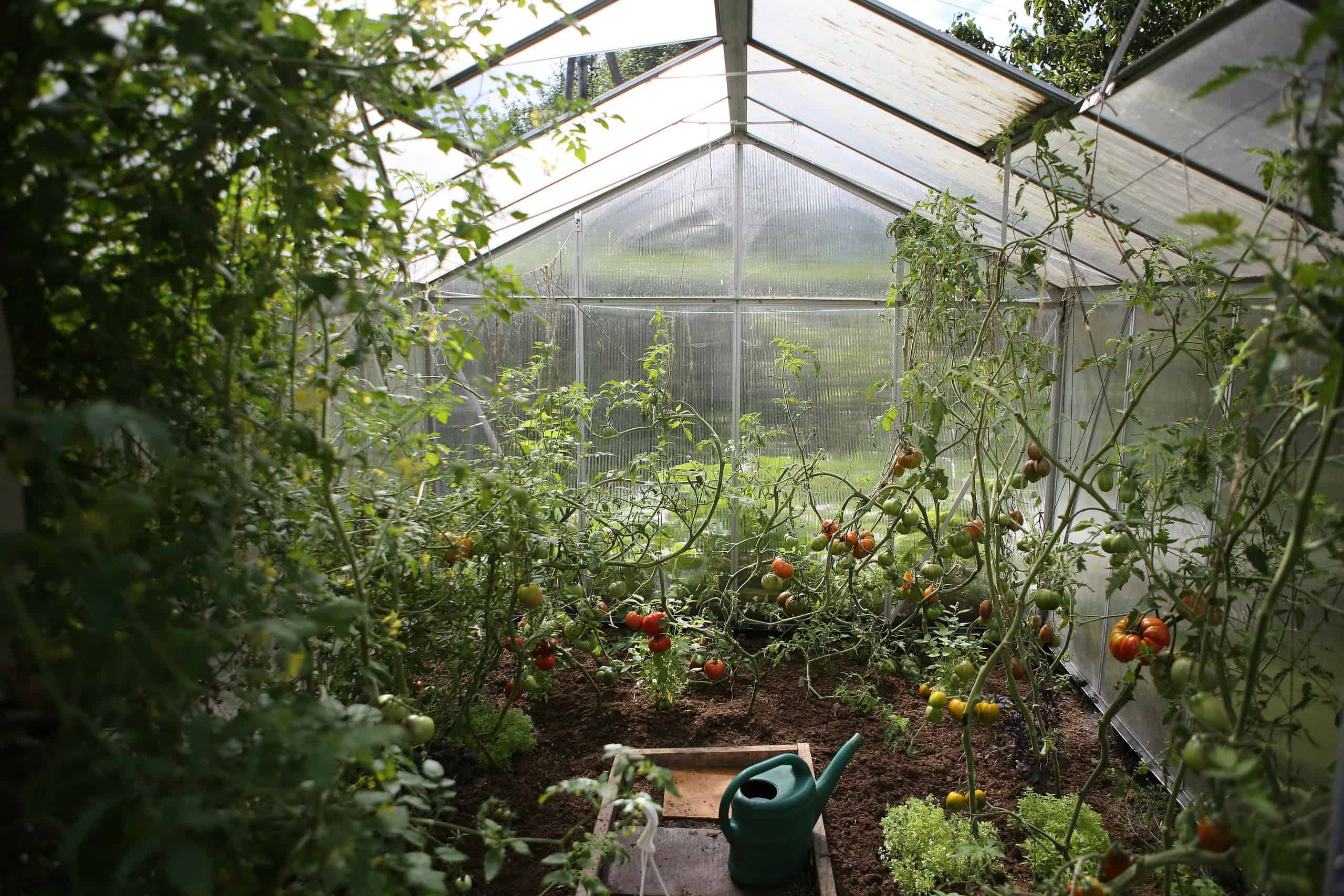 greenhouse garden