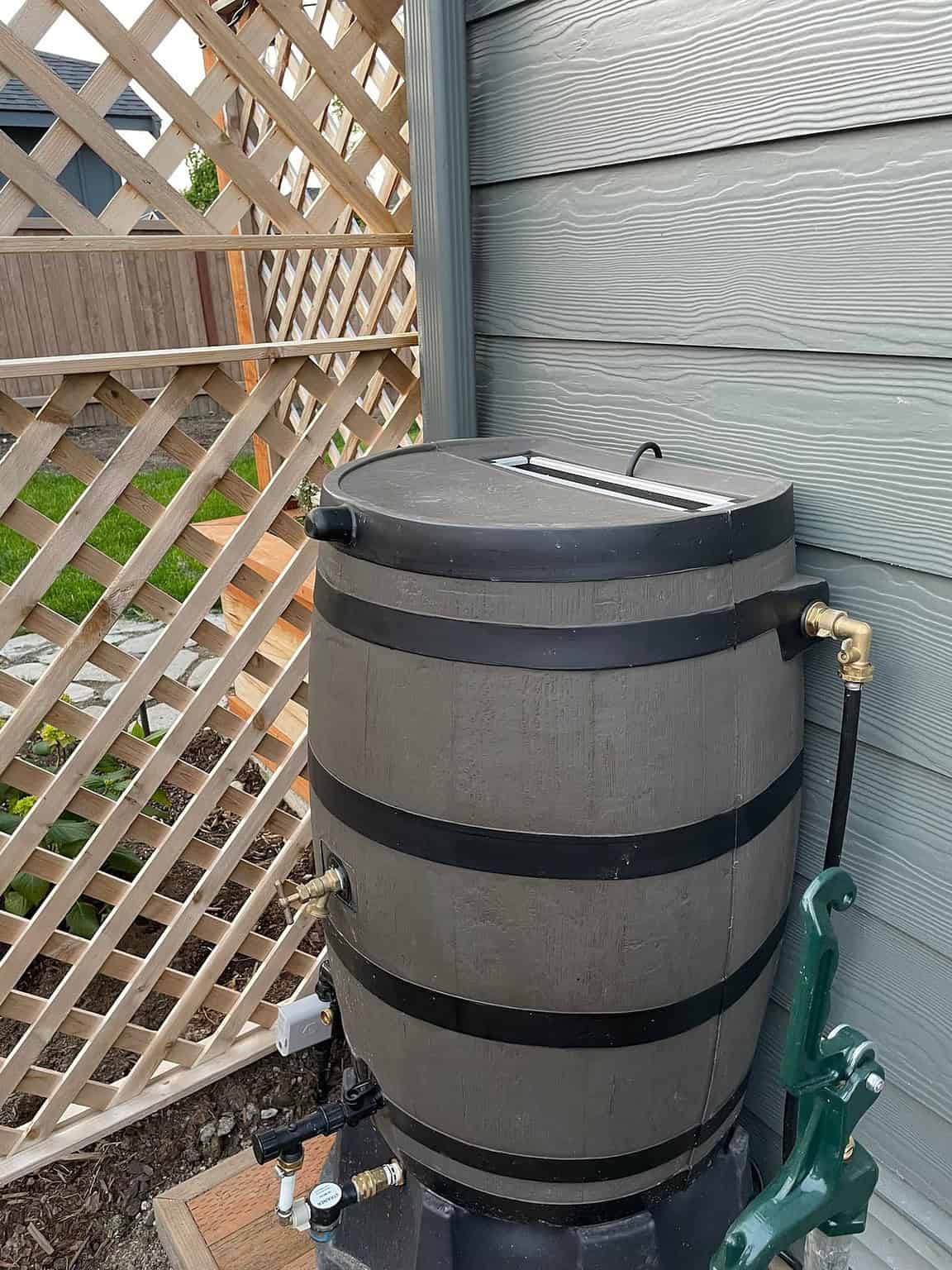 Image showcasing A Self-Sufficient Homestead Inside a Secure Forest Compound The ...