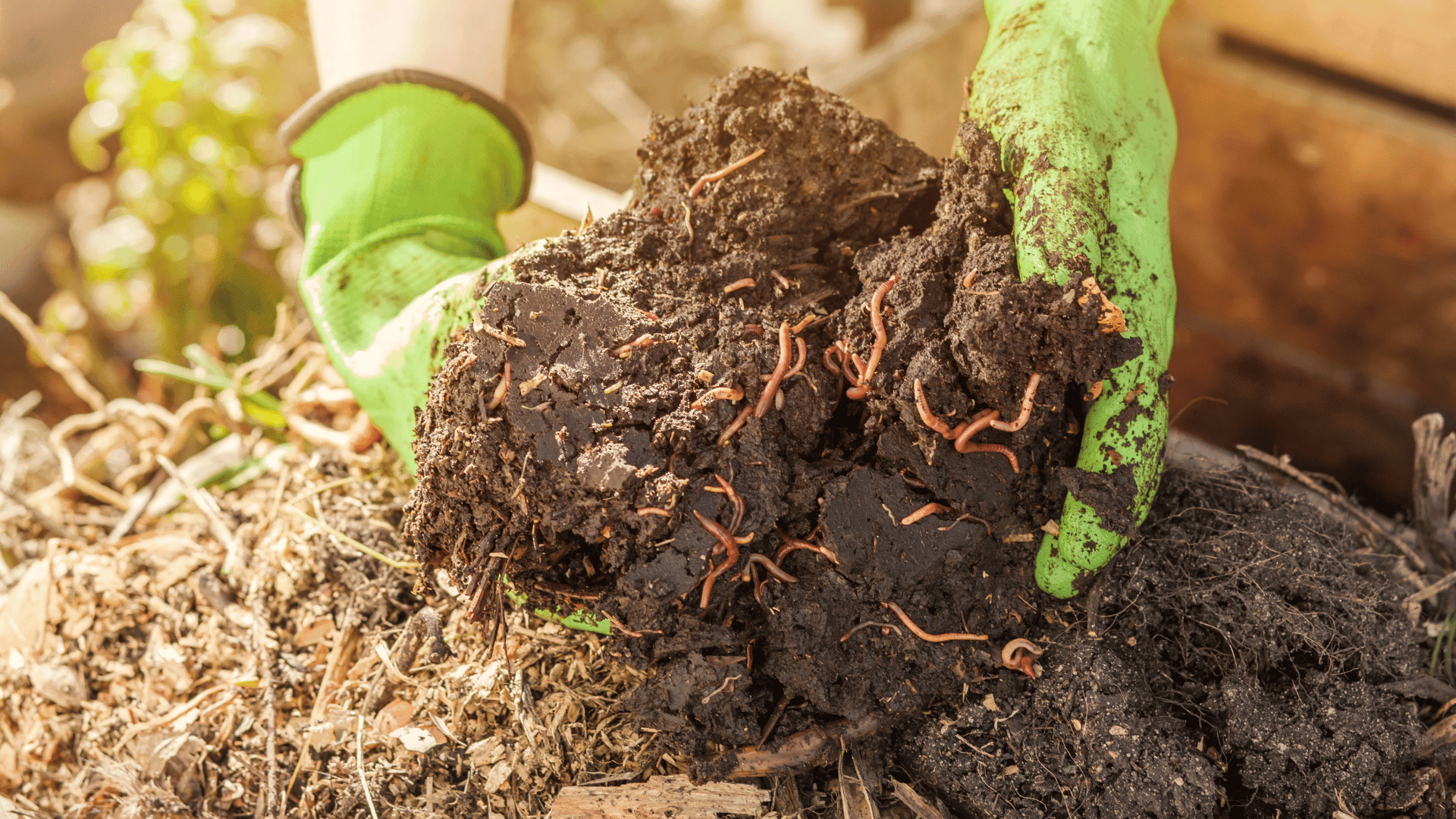 How to Make the Best DIY Seed Starting Soil for Your Garden? - The ...