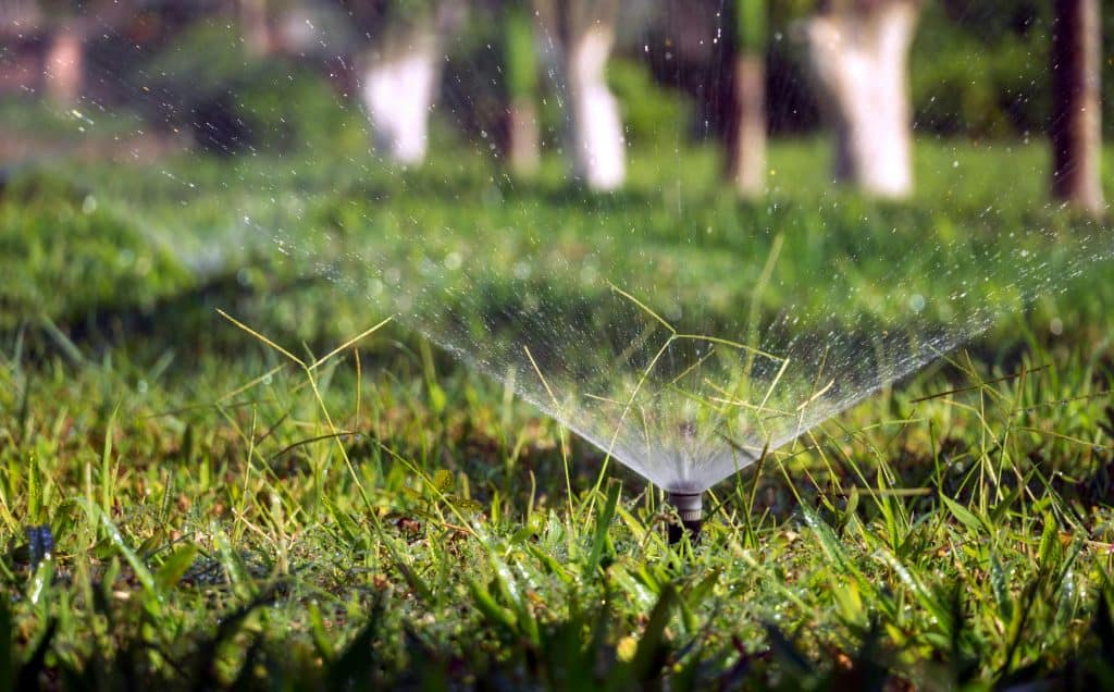 backyard sprinkler system watering a lush green lawn, spraying across the yard