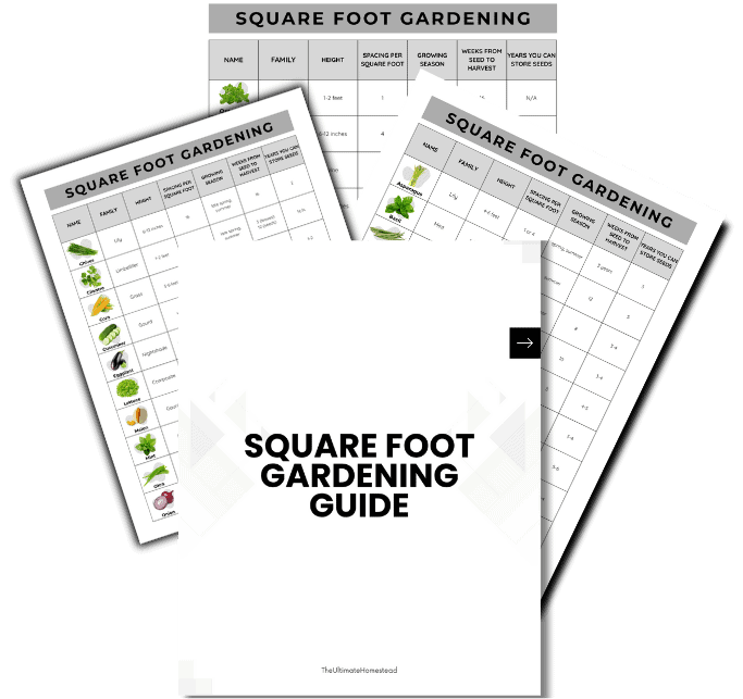 Square Foot Gardening Guide