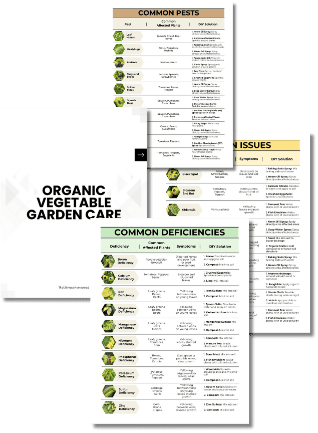 Organic Garden Care Guide