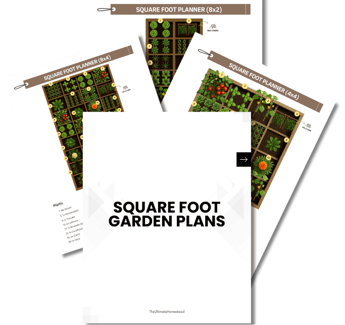 Bonus 2 4x8 Bed Plans