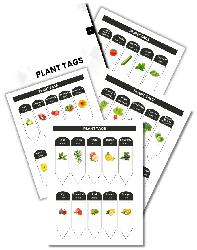 Bonus 3 Printable Plant Tags
