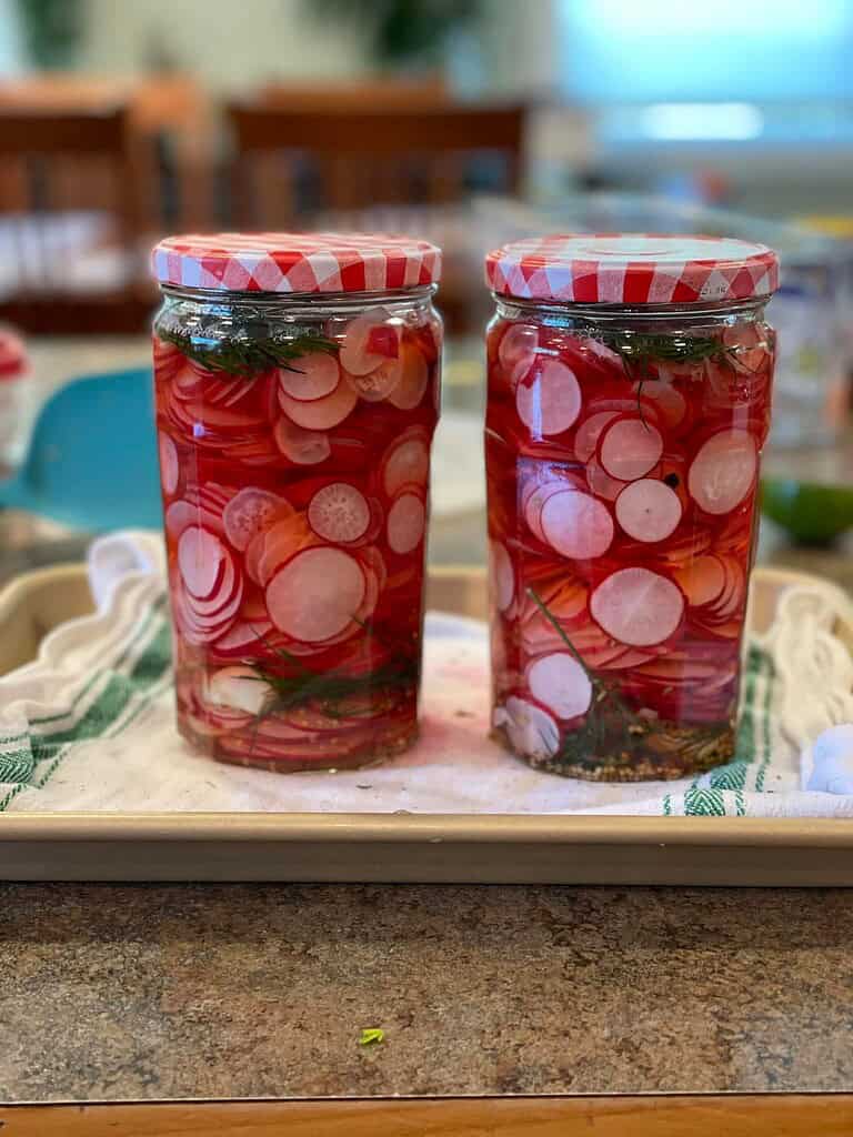 pickled radish