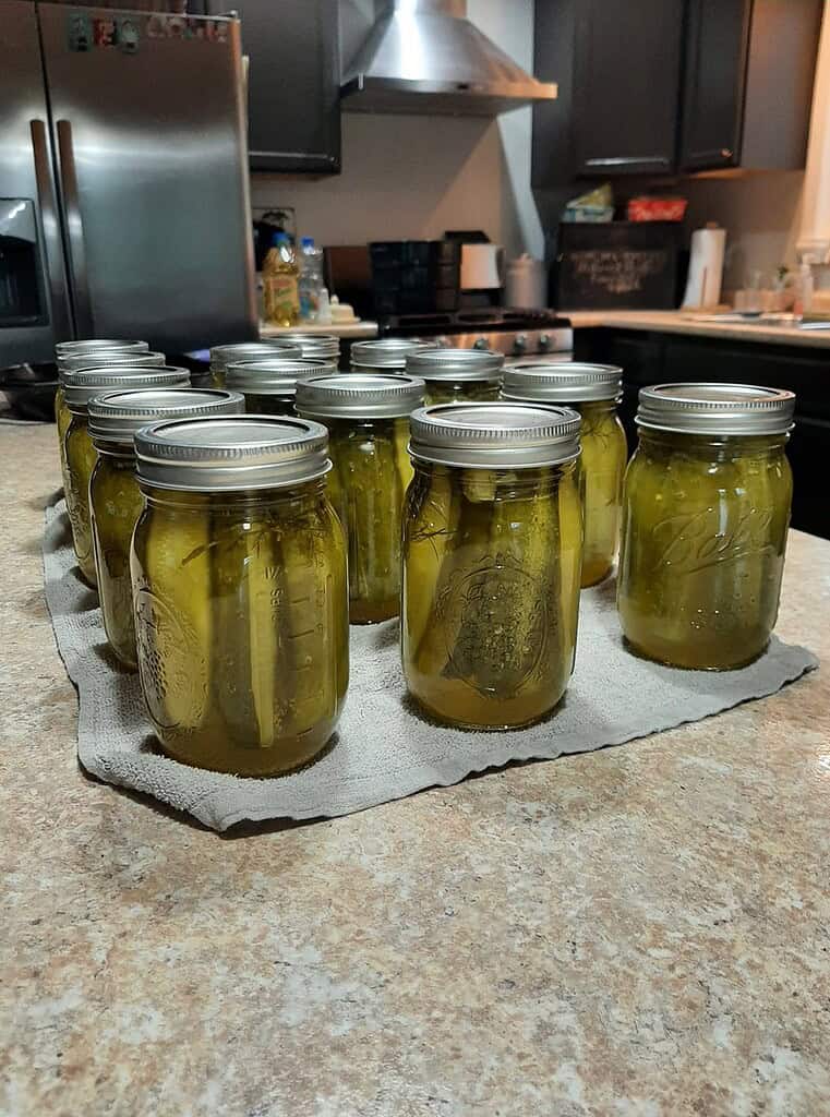 jars of cucumber pickles