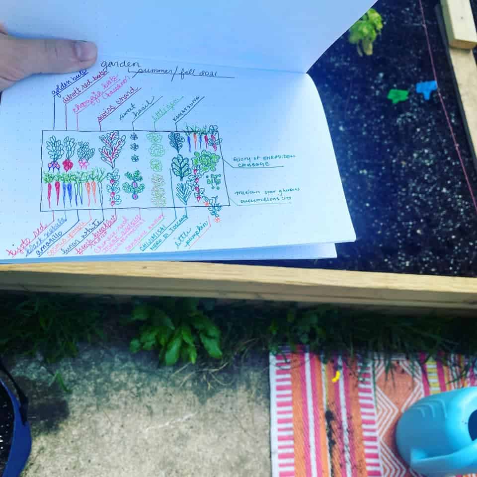 a sketch paper of garden outside