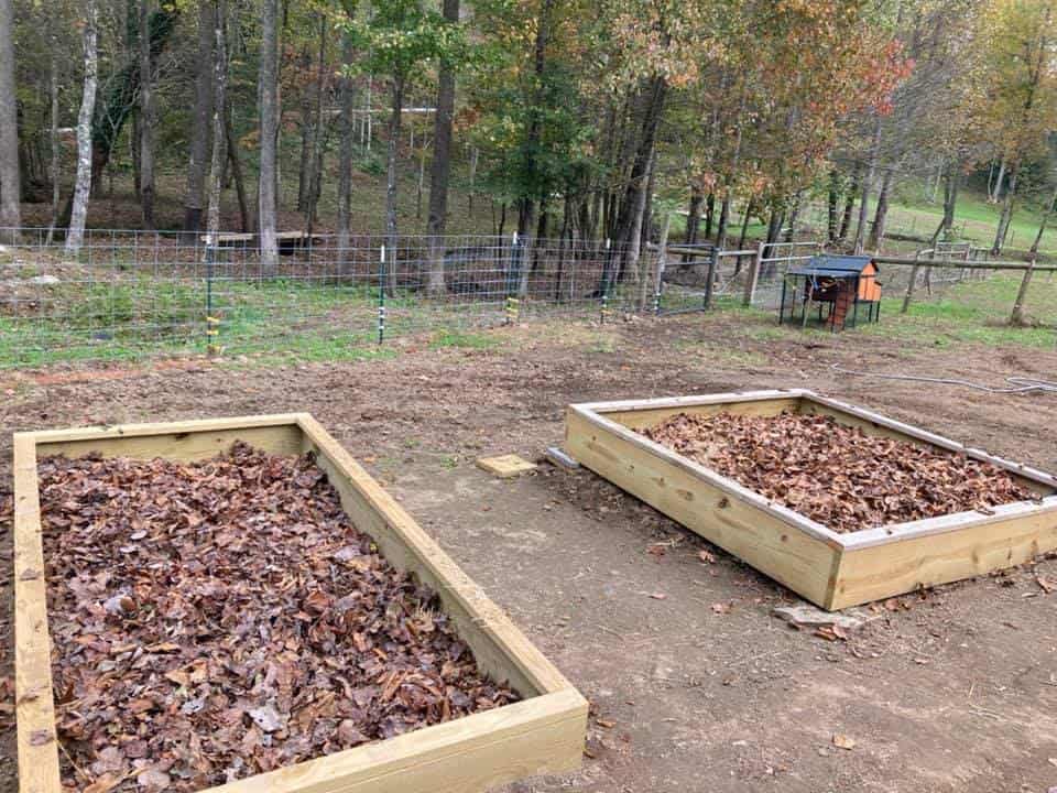 fallen leaves poured in two wooden raised beds