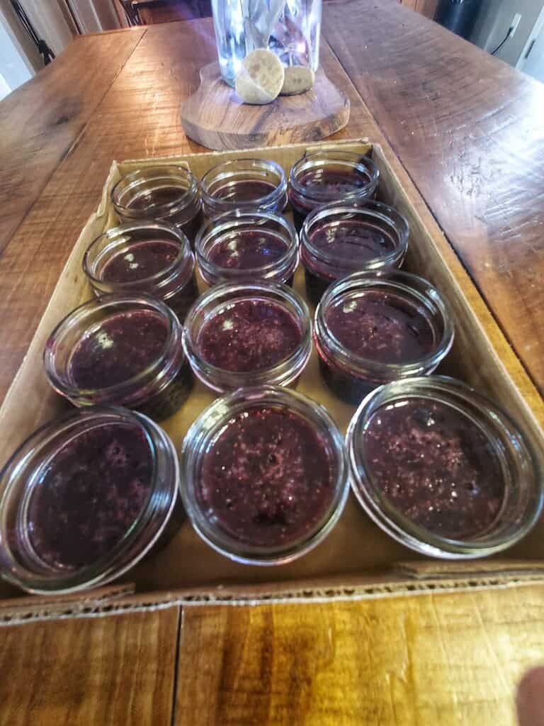 fresh blueberry jam