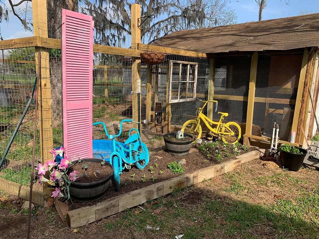 bicycle as decor on top of the raised bed