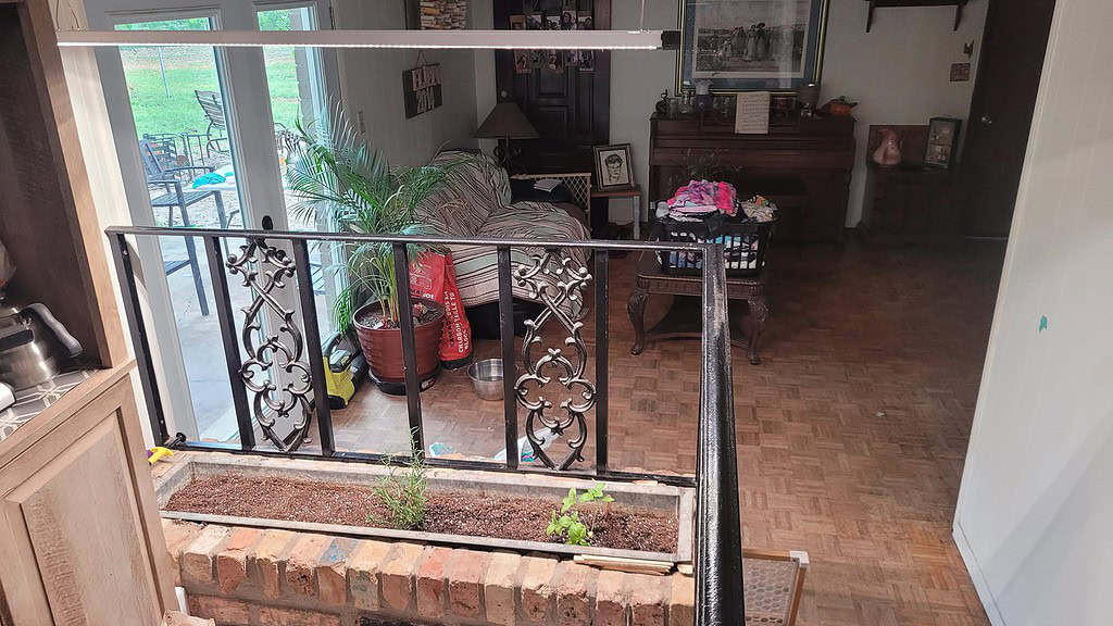 indoor herb garden in winter