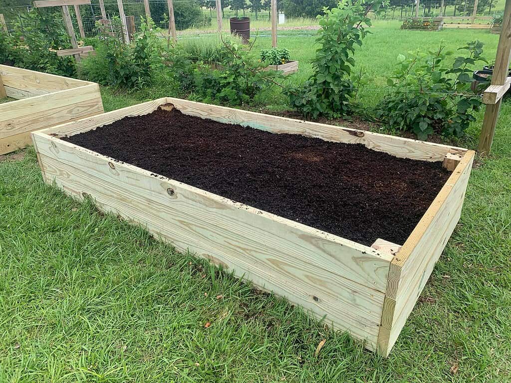 one raised bed filled with healthy soil