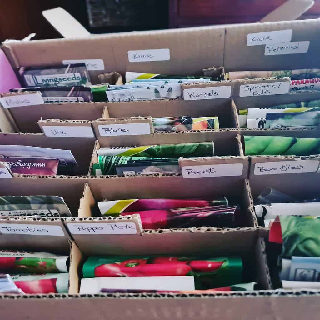 Old shoe box made to organize seeds