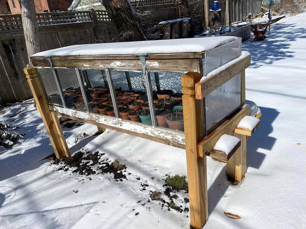 an enclosed planter set in winter