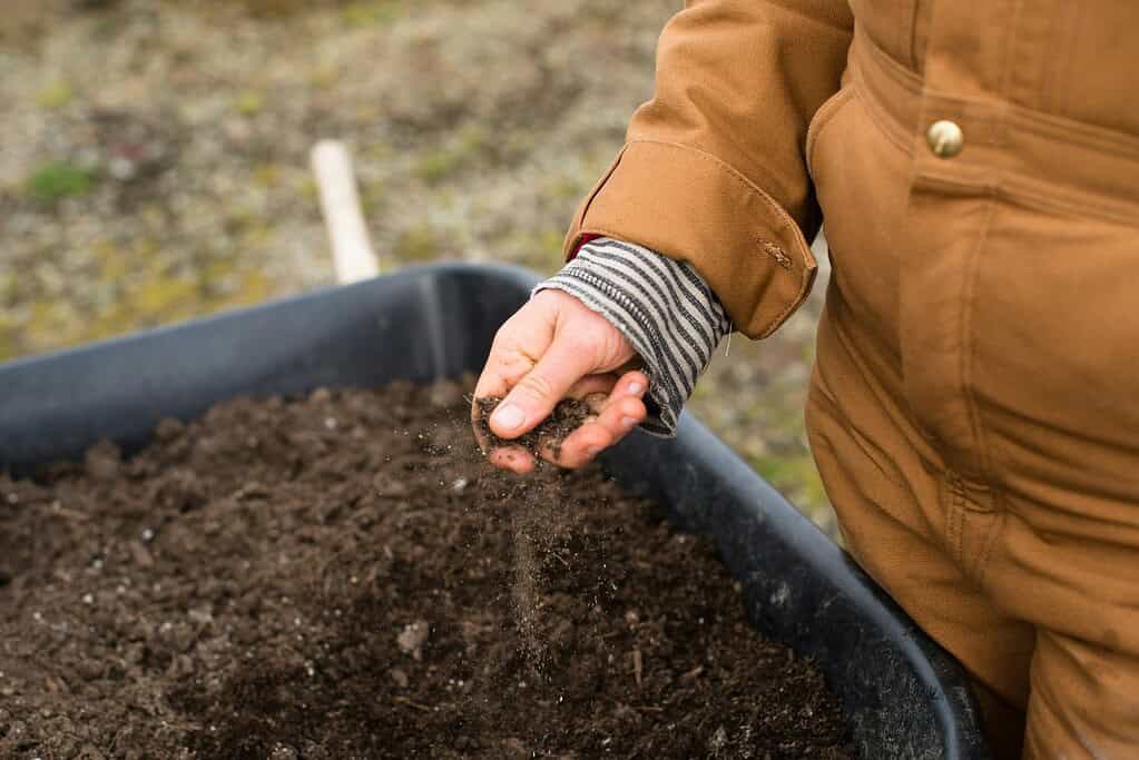 a woman preparing a soil