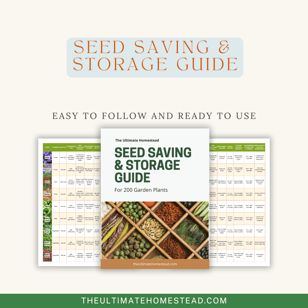 Beige Minimalist Letter and Planner Pages Mockup Instagram Post