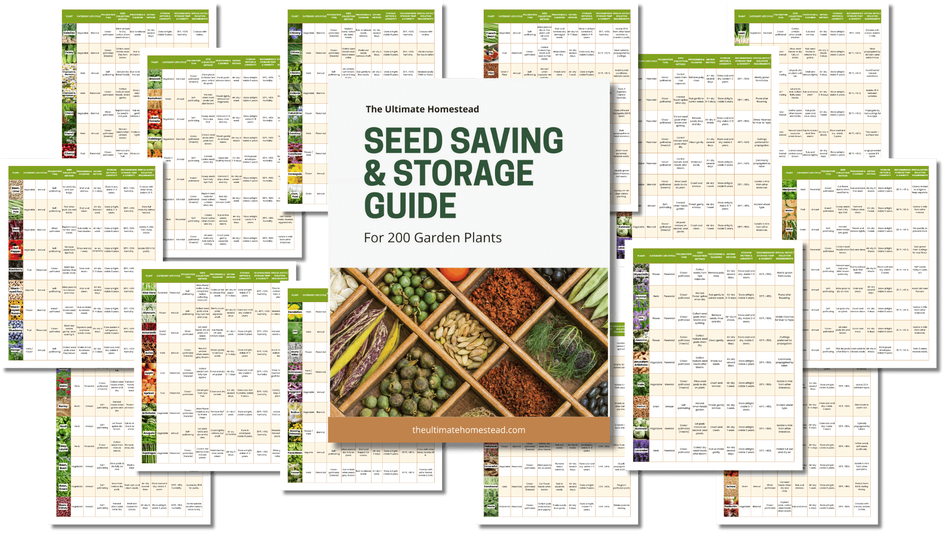 Copy of The Business of Franchising (36)