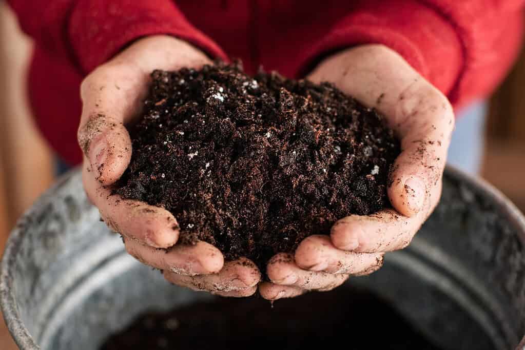 a pair of hands gently holding a mound of rich, dark potting soil above a galvanized metal bucket.