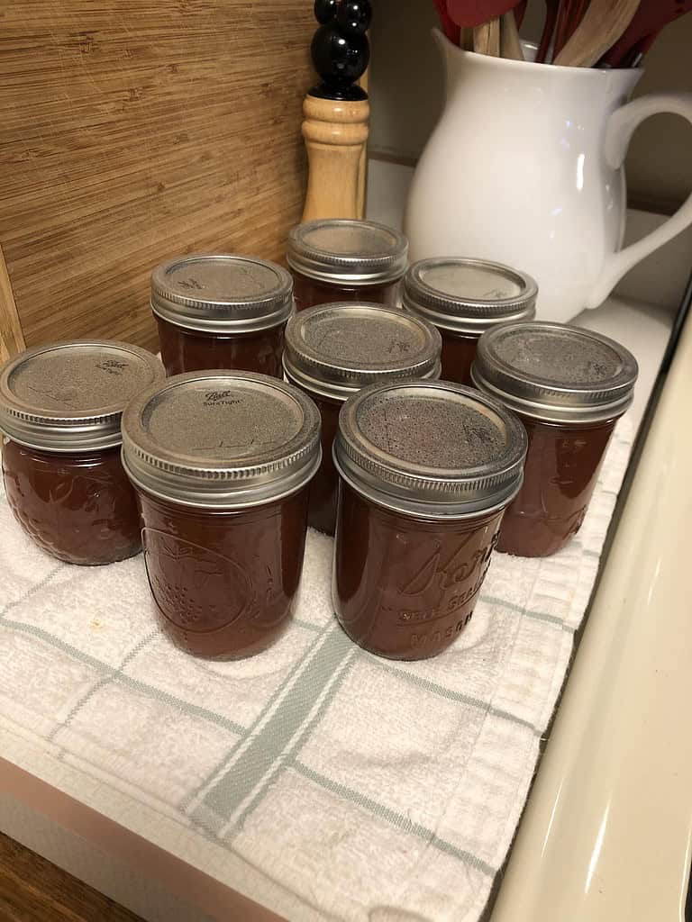 freshly canned jars of homemade jelly or jam cooling on a kitchen counter