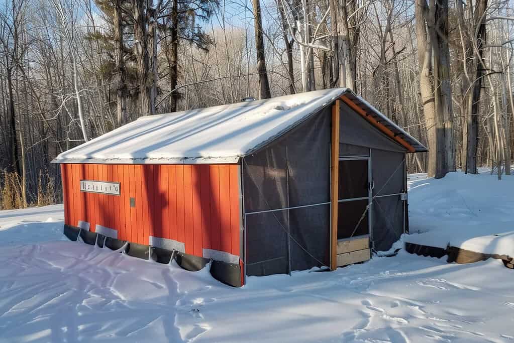 practical red chicken coop with a gray tarp-covered run, surrounded by snow under bright winter sunlight