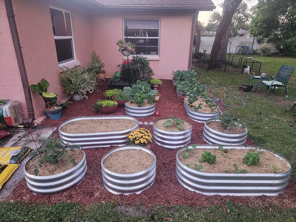 metal raised garden beds filled with rich soil and straw mulch, each bed containing various growing vegetables such as tomatoes, lettuce, collard greens, basil, and squash.