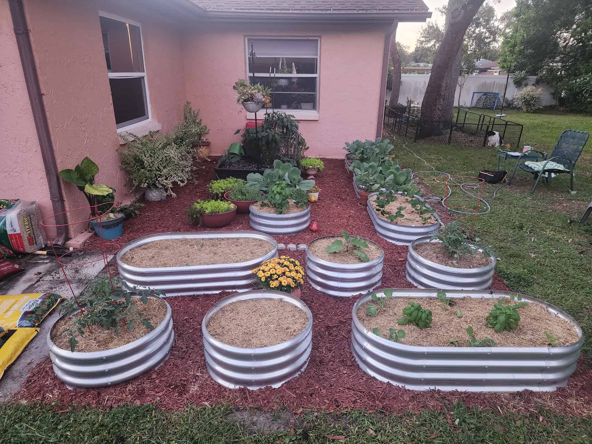 metal raised garden beds filled with rich soil and straw mulch, each bed containing various growing vegetables such as tomatoes, lettuce, collard greens, basil, and squash.