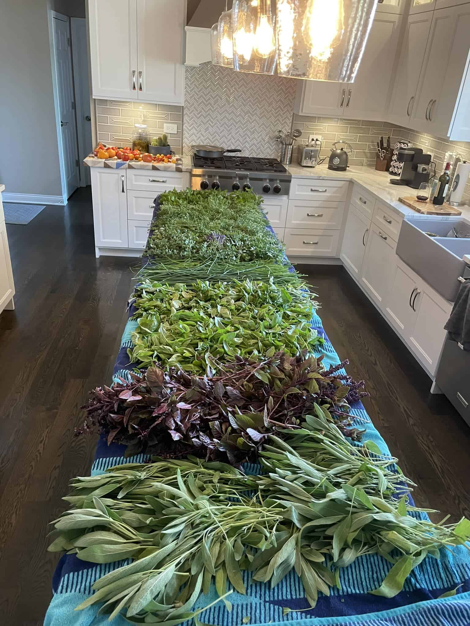 a freshly harvested assortment of culinary herbs meticulously arranged on a large, covered dining table in a bright, modern kitchen