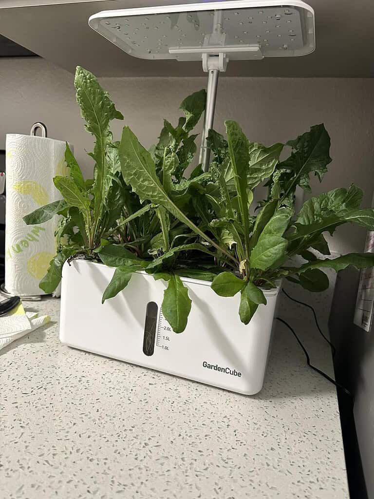 an indoor hydroponic herb garden growing under a sleek LED grow light system