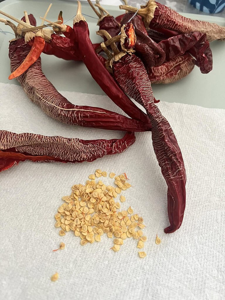 dried red chili peppers with a small pile of seeds carefully removed and displayed on a white textured paper towel