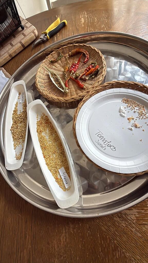 a rustic indoor seed-saving setup, arranged naturally on a wooden table in soft daylight