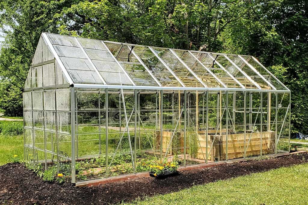 a whole view of a transparent greenhouse