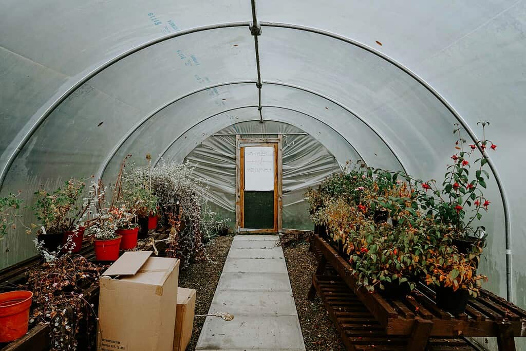 an underground greenhouse