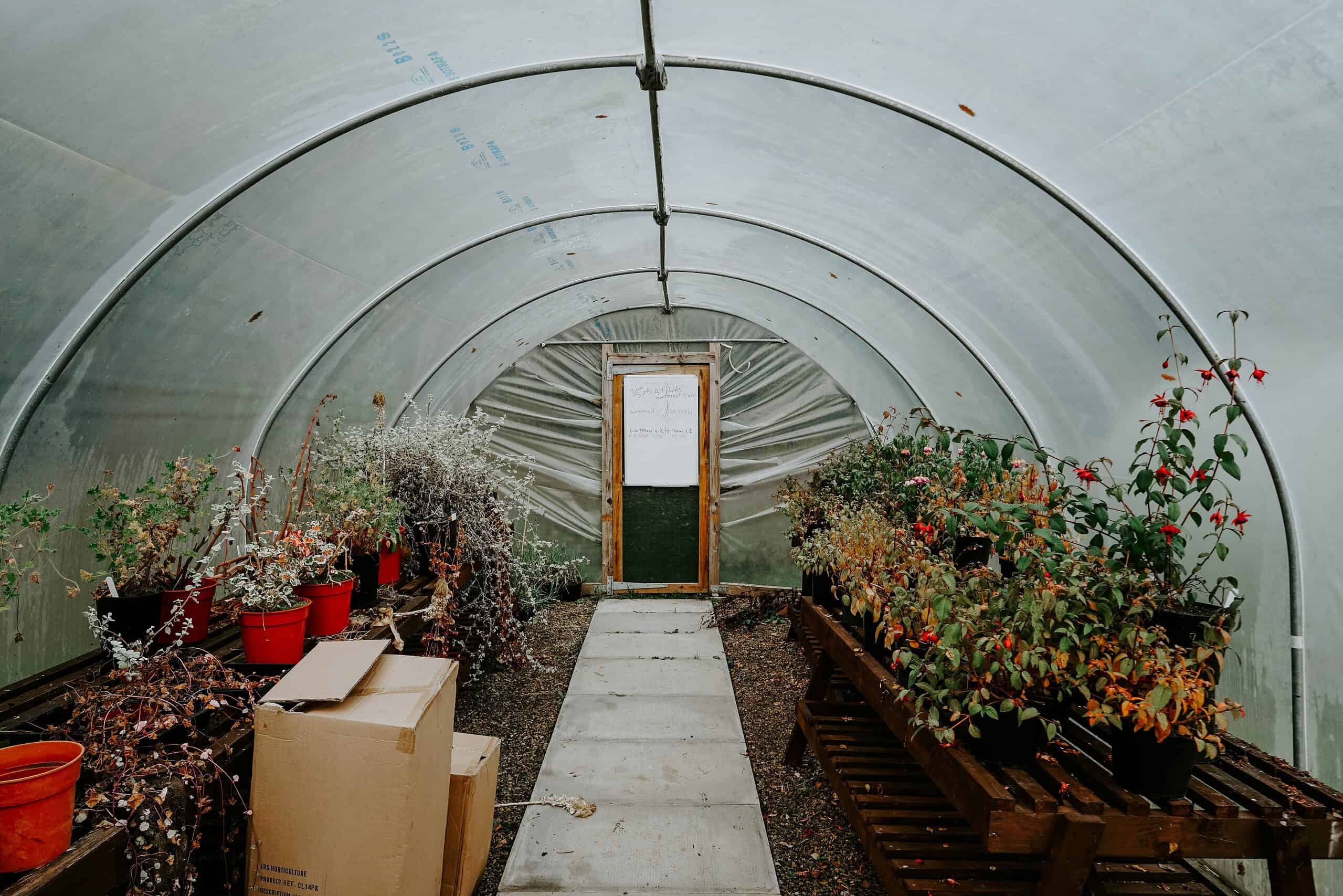 an underground greenhouse