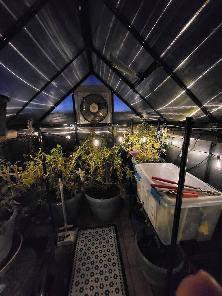 small nighttime greenhouse interior, black polycarbonate roof and walls, potted plants under string lights, soft warm glow, garden tools on a workbench, ventilation fan on the back wall