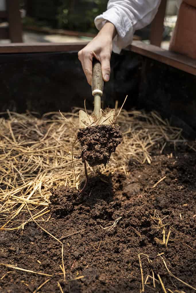 a person holding a small gardening shovel scooping dark, rich chicken manure compost
