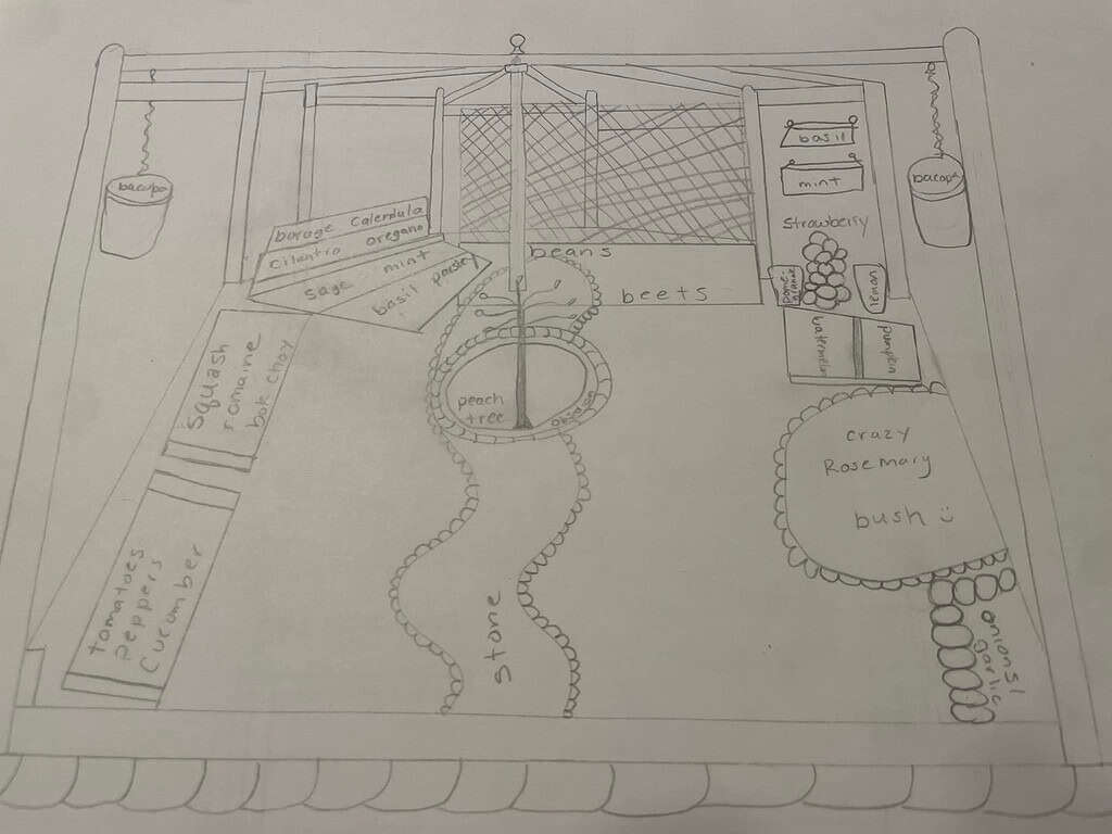 garden layout illustration of a thriving backyard edible garden designed with intentional zones for herbs, vegetables, and fruit.