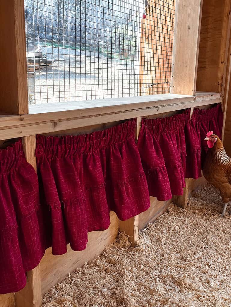 a wooden chicken coop nesting area featuring handmade nesting box curtains.