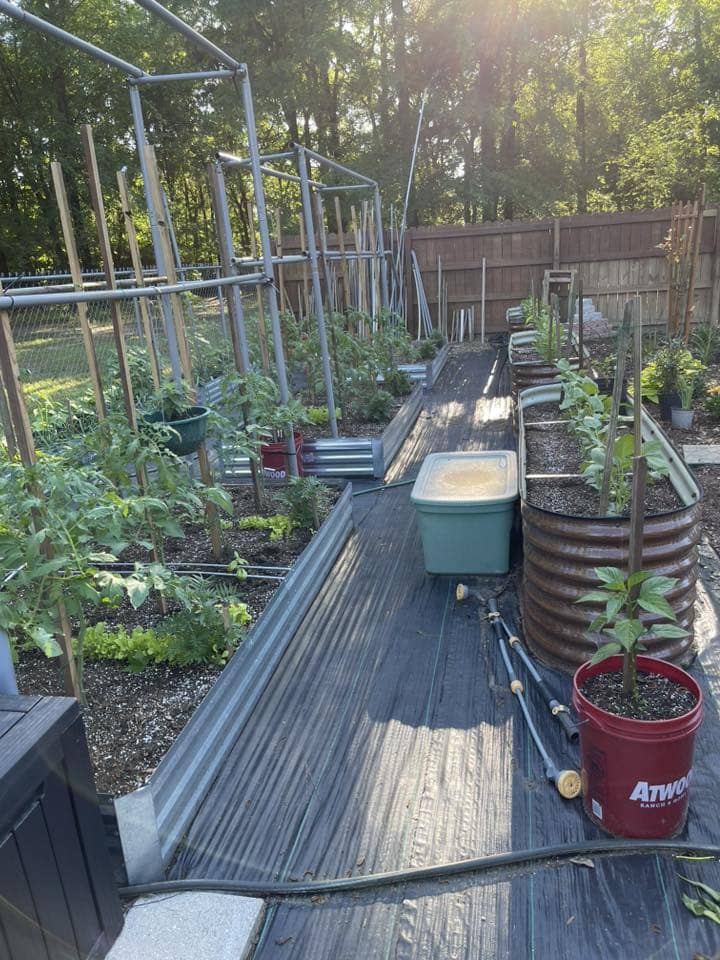 a small garden in a backyard