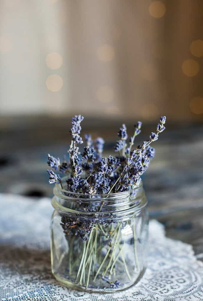 a small bouquet of dried lavender flowers arranged in a clear, vintage-style glass jar