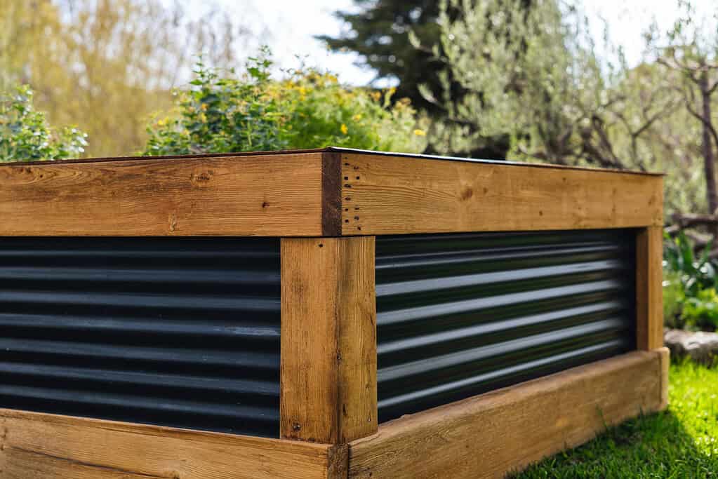 a modern raised garden planter box made from natural wood and black corrugated metal panels.