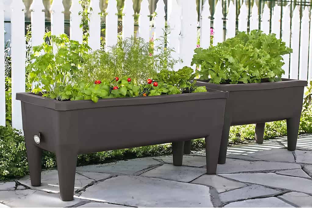 two elevated garden planter boxes made entirely from molded plastic.