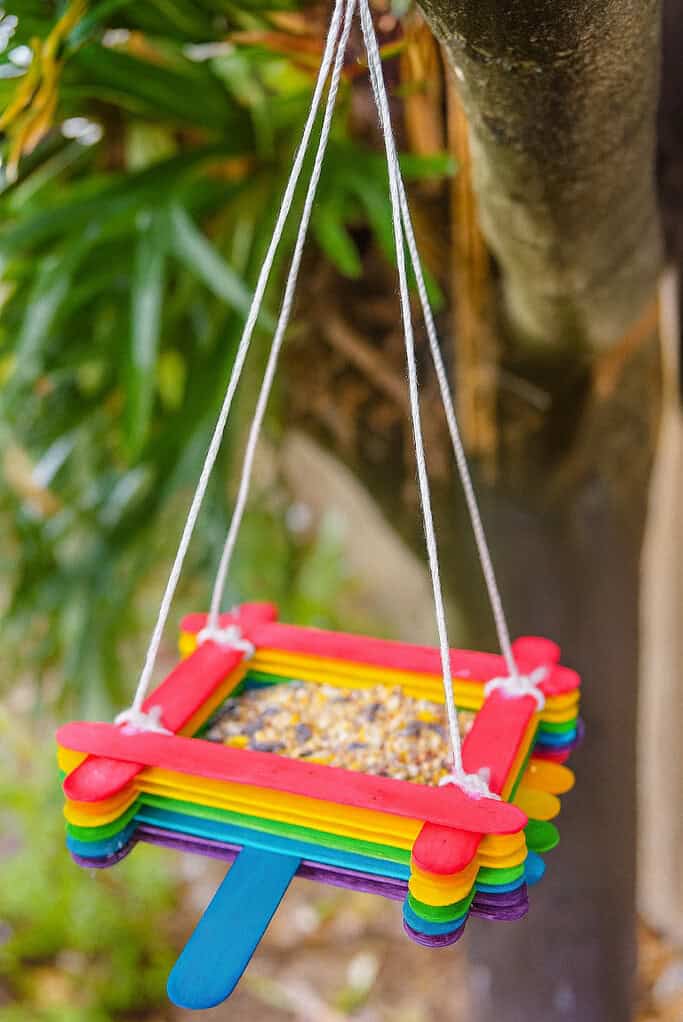 a handmade bird feeder crafted from colorful rainbow popsicle sticks