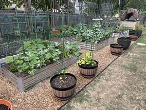 How to Start Gardening for Beginners